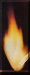 principles of wood burning